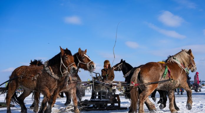 Cina: al via il Festival della pesca sul ghiaccio e neve a Songyuan (1)