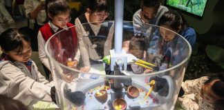 Cina: nel 2024 registrato aumento investimenti nella divulgazione scientifica