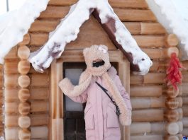 Cina: a Harbin sculture di ghiaccio tinte con coloranti vegetali (3)