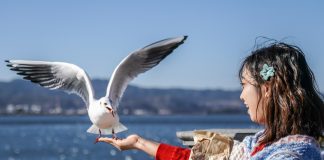 Cina: lago Dianchi, livello dell’acqua elevato per ottavo anno di fila (1)