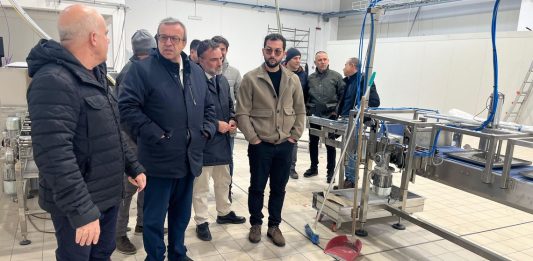 Cani “Presto incontro con tutti i Consorzi Industriali Provinciali sardi per un programma condiviso”