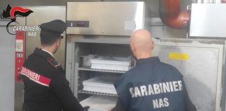Panettoni con false diciture Dop e Igp, scatta la denuncia nel Catanese