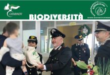 Speranza e natura negli ospedali pediatrici con i Carabinieri Forestali di Catanzaro