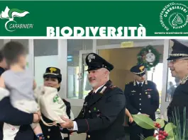 Speranza e natura negli ospedali pediatrici con i Carabinieri Forestali di Catanzaro