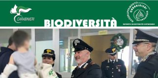 Speranza e natura negli ospedali pediatrici con i Carabinieri Forestali di Catanzaro