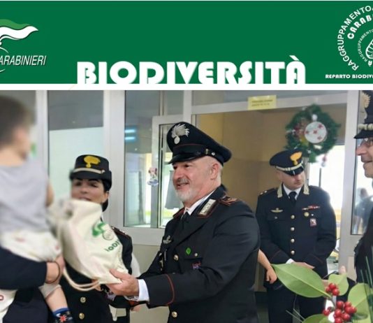 Speranza e natura negli ospedali pediatrici con i Carabinieri Forestali di Catanzaro