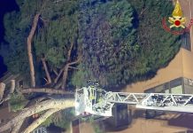 Due pini si abbattono su un’abitazione a Civitavecchia, nessun ferito