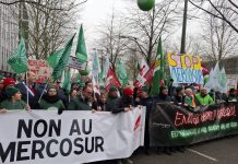 Mercosur, Giansanti “Confagricoltura a Strasburgo per chiedere un accordo equo”