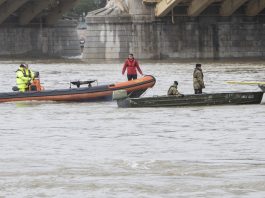 Maltese passengers stranded on Danube after cruise ship runs aground