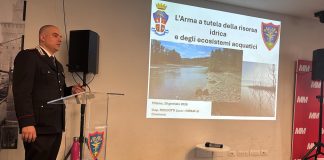Oltre 300 controlli sui fiumi in Lombardia dei Carabinieri Forestali nel 2025