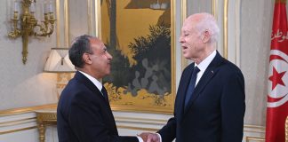 مصر وتونس تسعيان لتعزيز الشراكة السياسية والتعاون الاقتصادي