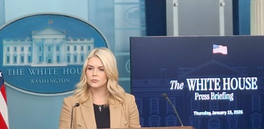 Usa, Leavitt: “Le truppe europee in Groenlandia non influiscono sulle decisioni di Trump”