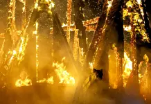 Amsterdam, incendio distrugge la Vondelkerk