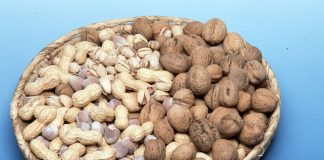 Dal CREA progetto per valorizzare la frutta a guscio