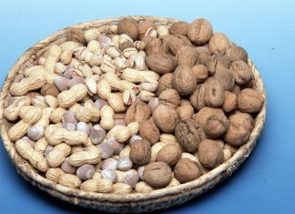 Dal CREA progetto per valorizzare la frutta a guscio