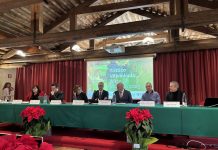 Il Veneto nel 2025 è leader nazionale tra crescita della produzione ed export vinicolo