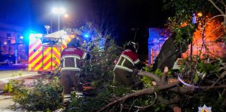 Storm Harry batters Malta, felling trees and disrupting flights