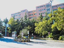 Al Grande Ospedale Metropolitano di Reggio Calabria eseguito il primo trapianto renale da donatore cadavere del 2026