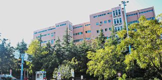 Al Grande Ospedale Metropolitano di Reggio Calabria eseguito il primo trapianto renale da donatore cadavere del 2026