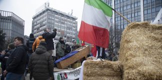 Milano, trattori contro Mercosur: latte e fieno versati in piazza Duca d’Aosta