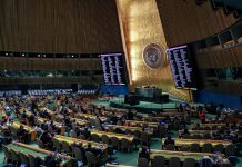 Onu-Desa, economia globale resiliente nel 2025 ma nubi all’orizzonte