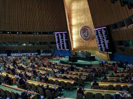 Onu-Desa, economia globale resiliente nel 2025 ma nubi all’orizzonte