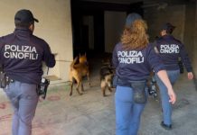 Catania, cani antidroga scovano un kg e mezzo di marijuana nel quartiere San Cristofaro