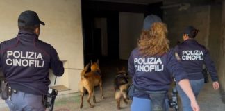 Catania, cani antidroga scovano un kg e mezzo di marijuana nel quartiere San Cristofaro