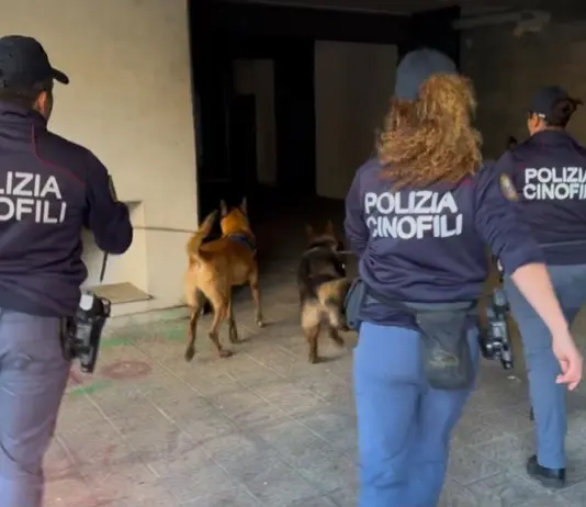 Catania, cani antidroga scovano un kg e mezzo di marijuana nel quartiere San Cristofaro