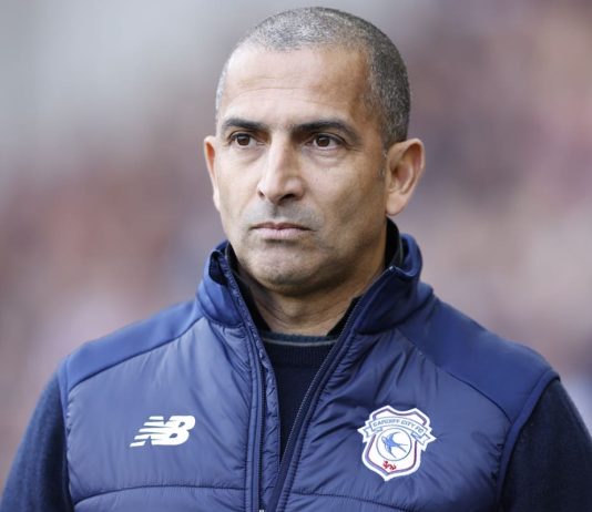 Sabri Lamouchi appointed new Tunisia head coach