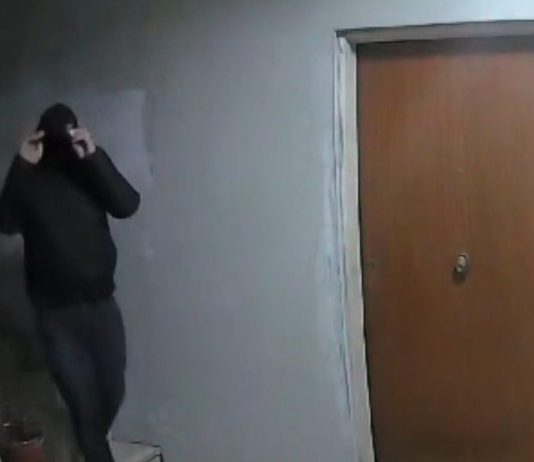 Furti in abitazione e truffe in Campania e nel Lazio, 38 indagati