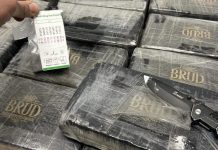 Sequestrati 160 chilogrammi di cocaina nel Bergamasco, 2 arresti