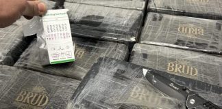 Sequestrati 160 chilogrammi di cocaina nel Bergamasco, 2 arresti