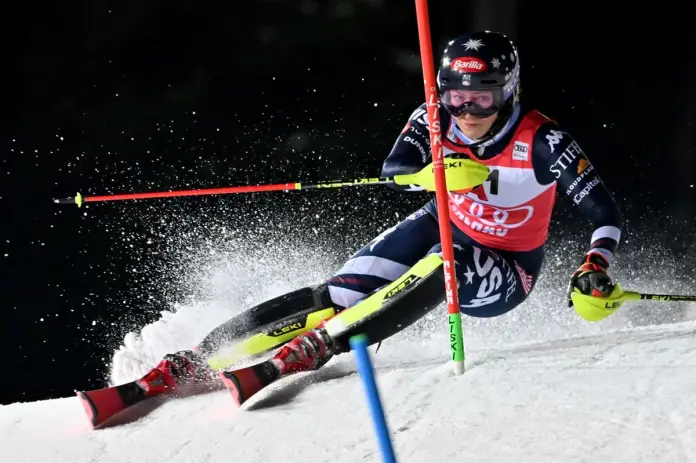 Shiffrin (1)