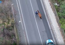 Nel Catanese una corsa clandestina di cavalli, 15 denunciati di cui 2 minori