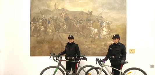 Arrestato a Tortona il ladro seriale, ha solo 18 anni