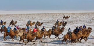 Effetto Milano-Cortina: i Giochi alimentano la passione per gli sport invernali nel nord della Cina