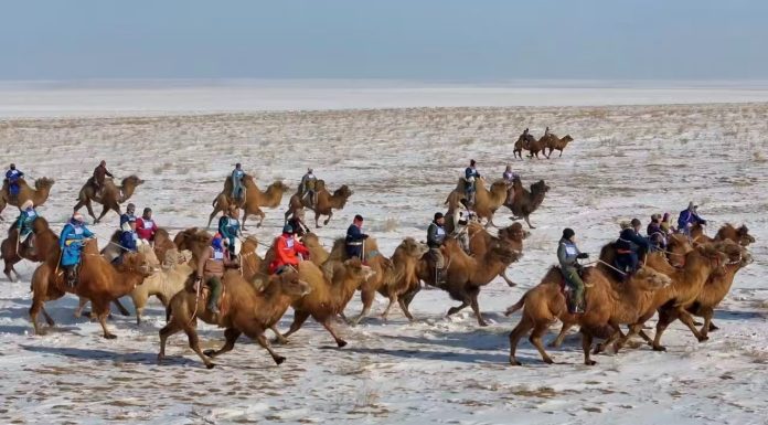 Effetto Milano-Cortina: i Giochi alimentano la passione per gli sport invernali nel nord della Cina
