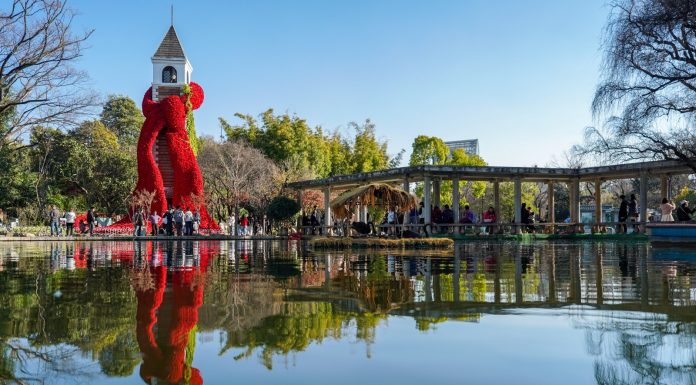 Cina: il lago Cuihu rinasce tra caffè e cultura (3)