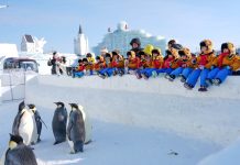 Cina: gruppo di bambini in viaggio alla scoperta del nord-est del Paese (2)