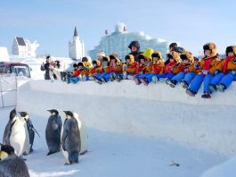 Cina: gruppo di bambini in viaggio alla scoperta del nord-est del Paese (2)