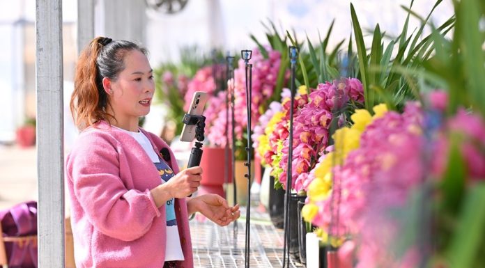 Cina: mercato floreale in fermento in vista della Festa di primavera (3)