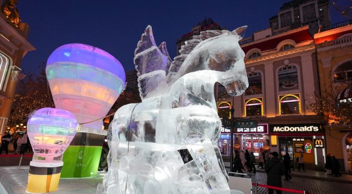 Cina: Harbin attira visitatori con il fascino del ghiaccio invernale (1)