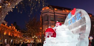 Cina: Harbin attira visitatori con il fascino del ghiaccio invernale (2)