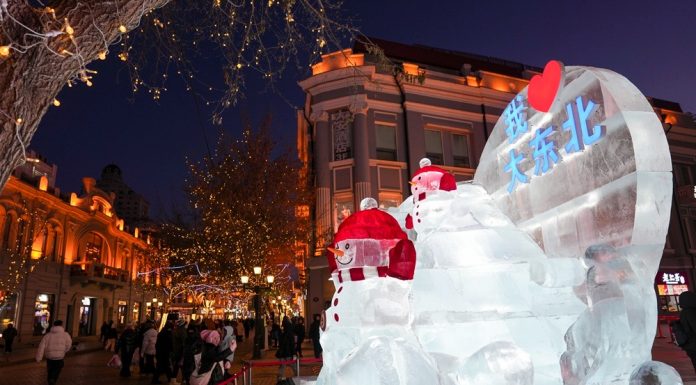 Cina: Harbin attira visitatori con il fascino del ghiaccio invernale (2)