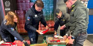 Sequestrate al porto di Genova oltre 9 tonnellate di sigarette di contrabbando