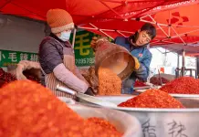 Cina: oltre 400 venditori al mercato Jinqui di Yinchuan (2)