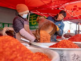 Cina: oltre 400 venditori al mercato Jinqui di Yinchuan (2)