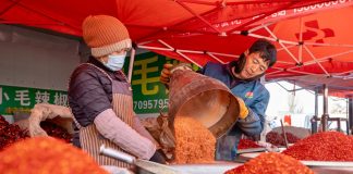 Cina: oltre 400 venditori al mercato Jinqui di Yinchuan (2)