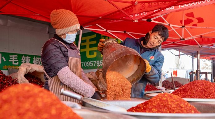 Cina: oltre 400 venditori al mercato Jinqui di Yinchuan (2)